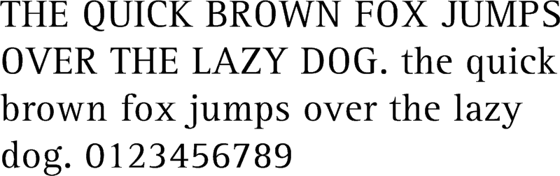 roman font trminal serif